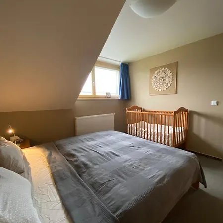 Apartment Rodinny V Srdci Sumavy